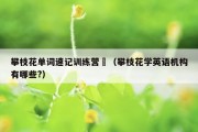 攀枝花单词速记训练营	（攀枝花学英语机构有哪些?）