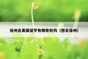 徐州去美国留学有哪些机构（想去徐州）