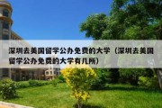 深圳去美国留学公办免费的大学（深圳去美国留学公办免费的大学有几所）