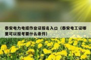 泰安电力电缆作业证报名入口（泰安电工证哪里可以报考要什么条件）