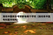 潍坊中医综合考研都有哪个学校（潍坊有中医专科医学院吗）