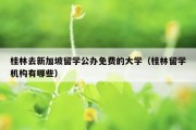 桂林去新加坡留学公办免费的大学（桂林留学机构有哪些）