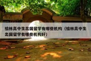 榆林高中生出国留学有哪些机构（榆林高中生出国留学有哪些机构好）