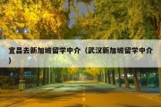 宜昌去新加坡留学中介（武汉新加坡留学中介）