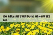 桂林去新加坡留学需要多少钱（桂林去新疆怎么去）