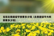 龙岩去泰国留学需要多少钱（去泰国留学大概需要多少钱）