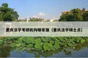 重庆法学考研机构哪家强（重庆法学硕士点）