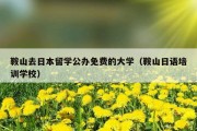 鞍山去日本留学公办免费的大学（鞍山日语培训学校）