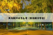 青岛制冷证怎么考（青岛制冷学会）