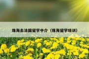 珠海去法国留学中介（珠海留学培训）