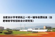 合肥会计学考研线上一对一辅导收费标准（合肥哪些学校招收会计研究生）