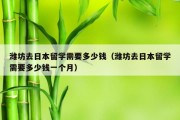 潍坊去日本留学需要多少钱（潍坊去日本留学需要多少钱一个月）