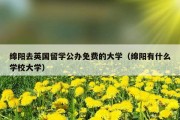 绵阳去英国留学公办免费的大学（绵阳有什么学校大学）