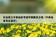 长治高三不参加高考留学需要多少钱（不参加高考去留学）