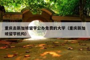 重庆去新加坡留学公办免费的大学（重庆新加坡留学机构）