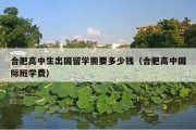 合肥高中生出国留学需要多少钱（合肥高中国际班学费）