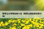 张家口小学排名前十名（张家口排名前五的小学）