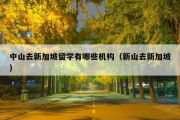 中山去新加坡留学有哪些机构（新山去新加坡）