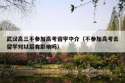 武汉高三不参加高考留学中介（不参加高考去留学对以后有影响吗）