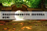 泰安经济学考研都有哪个学校（泰安考研地点都在哪）